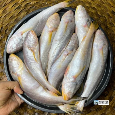 নদীর পোয়া মাছ ৮-১০ পিসে পারকেজি