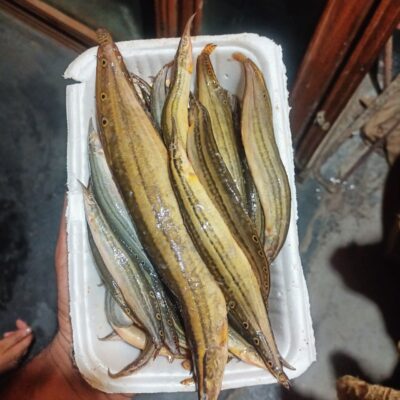 হাওরের তারা বাইম মাছ🥰
